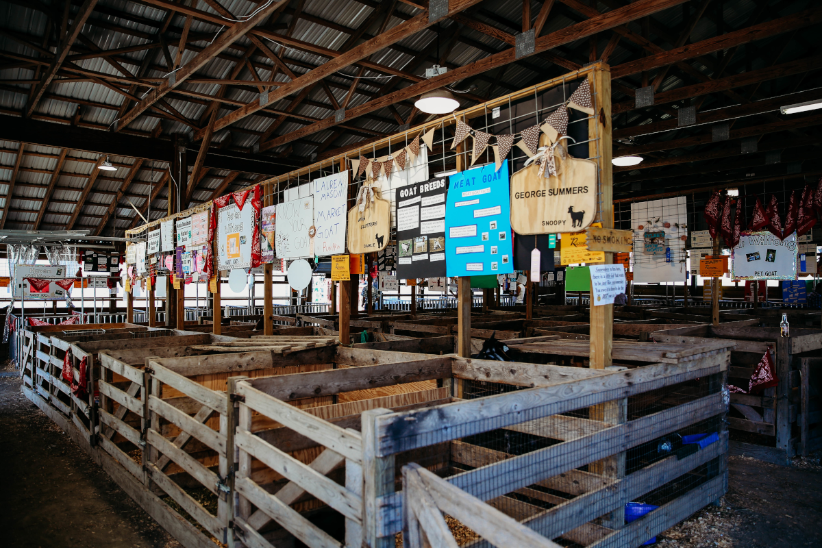 Highland County Fair - Monterey, Virginia - Livestock Barns