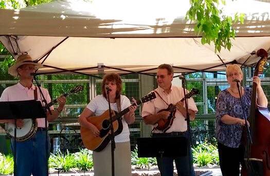 Four musicians performing bluegrass under outdoor canopy