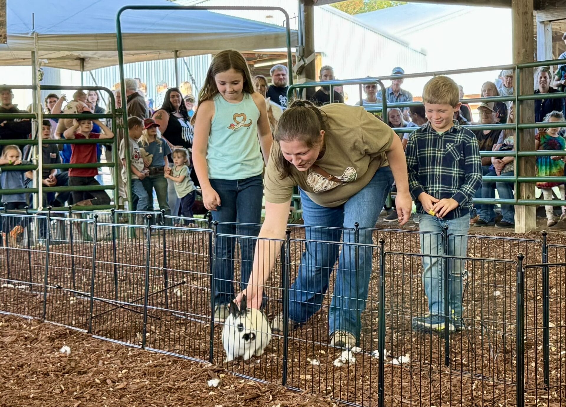 Children petting rabbit in small fenced pen