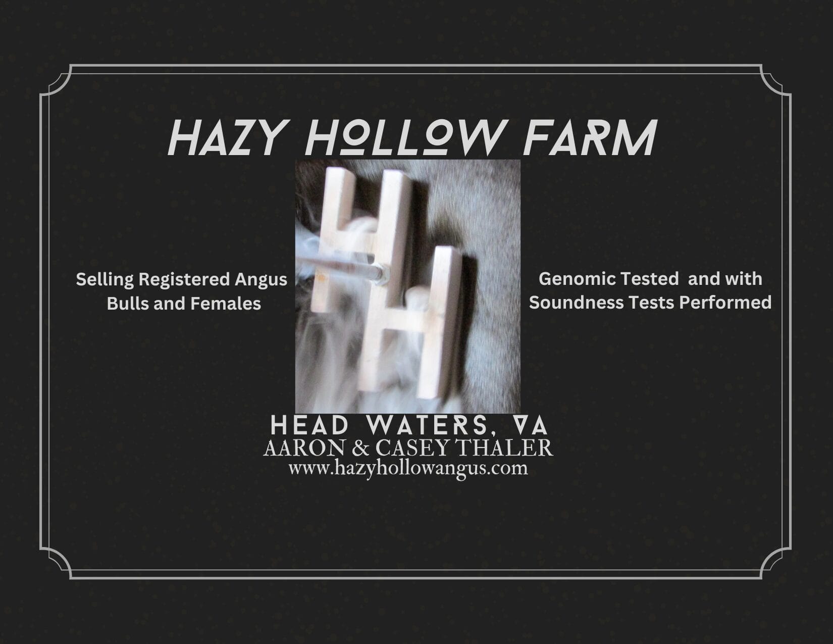 Hazy Hollow Farm